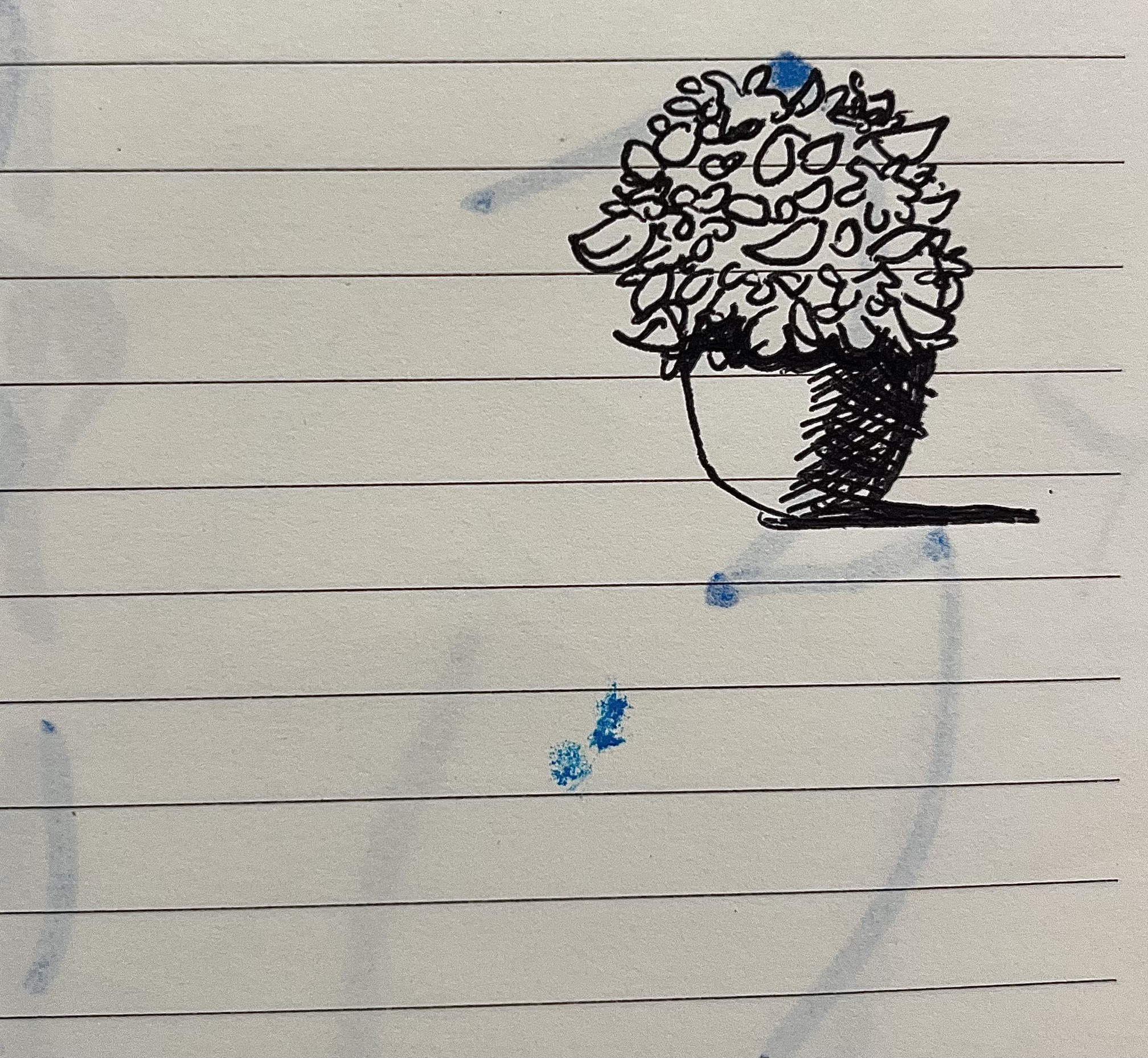 Sketch