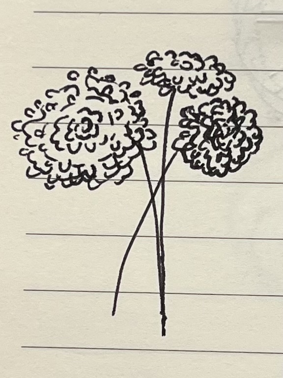 Sketch