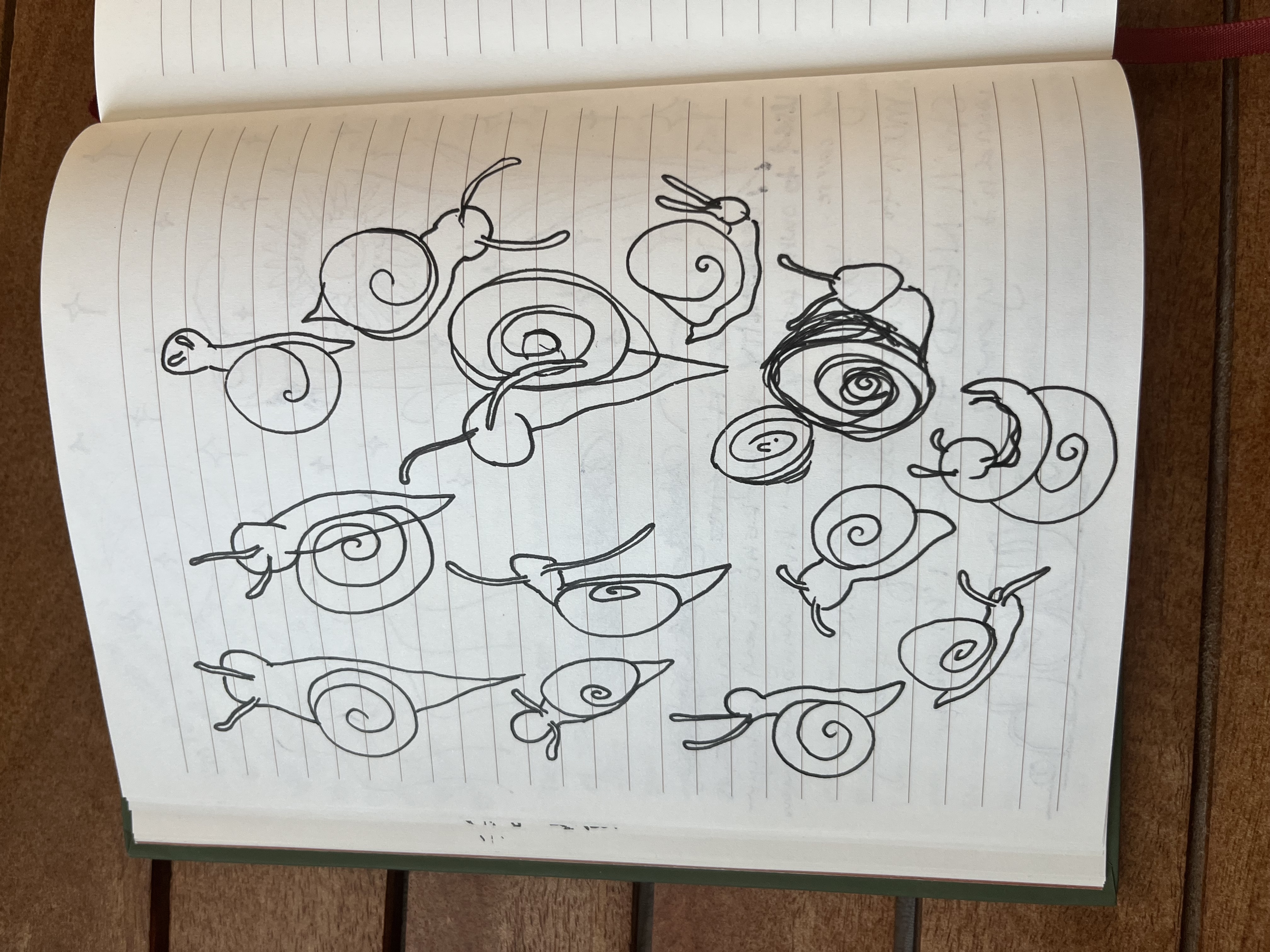 Sketch